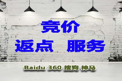 探索百度竞价代理的未来发展趋势与挑战