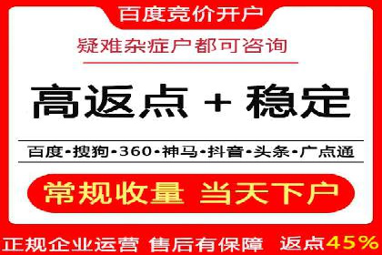 百度广告投放策略与效果评估案例